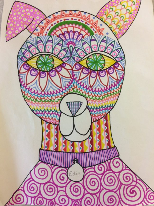 zen doodle summer 17