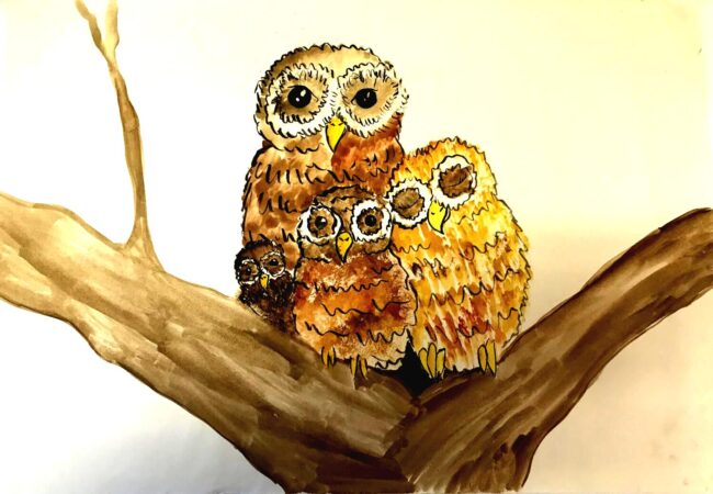 Pic-15-Family-of-owls-boost