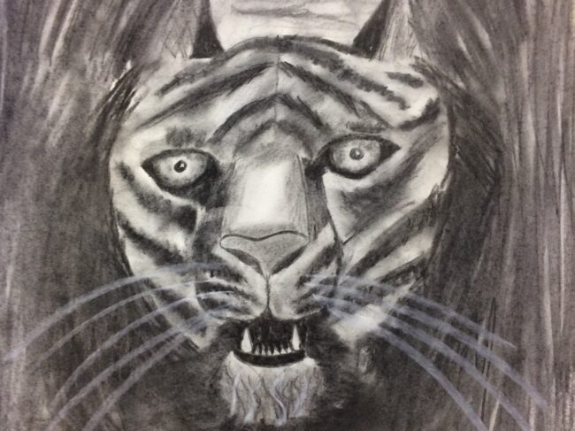 Kids drawing of a tiger