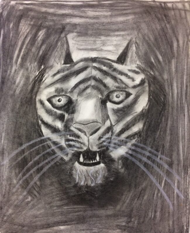 tiger Kids drawing of a tiger
