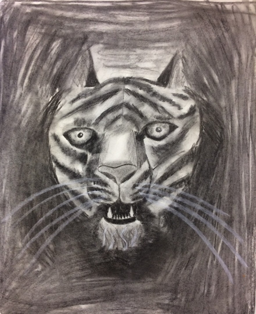 tiger Kids drawing of a tiger